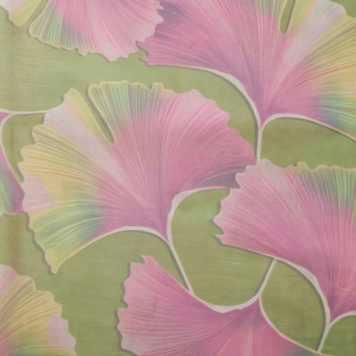 Pure Wool printed Shwal